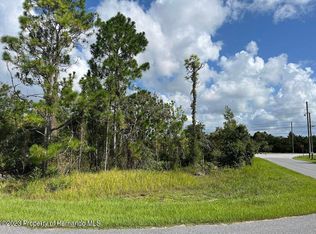 11345 Hexam Rd, Weeki Wachee, FL 34613
