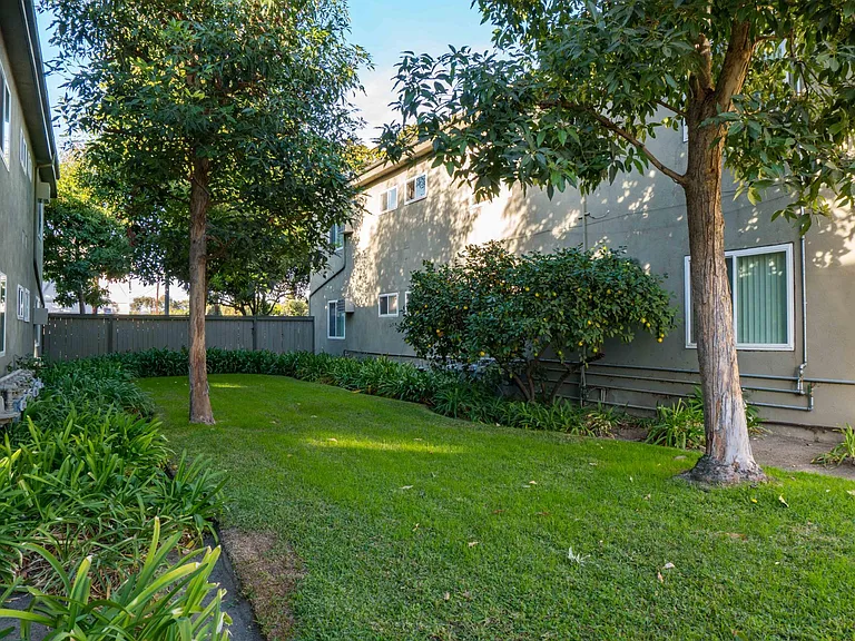 Magnolia Tree Apartments — Photo 11