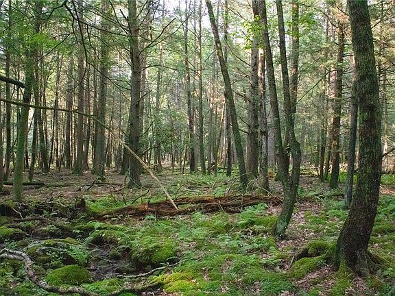4th image of 590 Cranberry Creek Rd