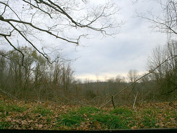 Prime location lots