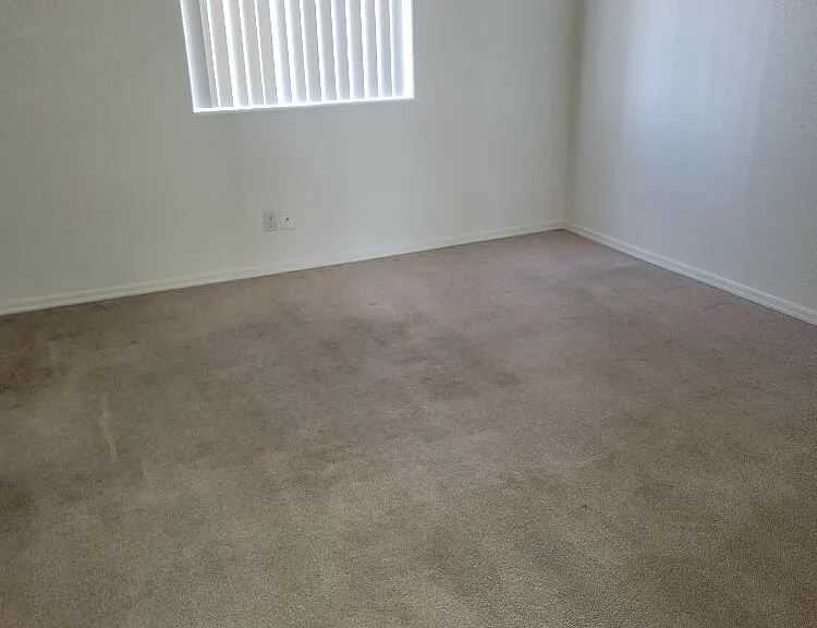 830 Falcon Dr — Photo 10