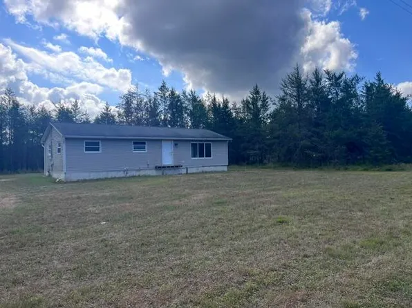 961 W Dusty Rd, Irons, MI 49644