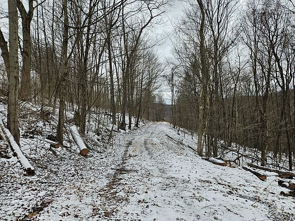 4th image of 0 Darwin Rd