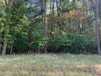 11 Meador Dr, Moneta, VA, 24121