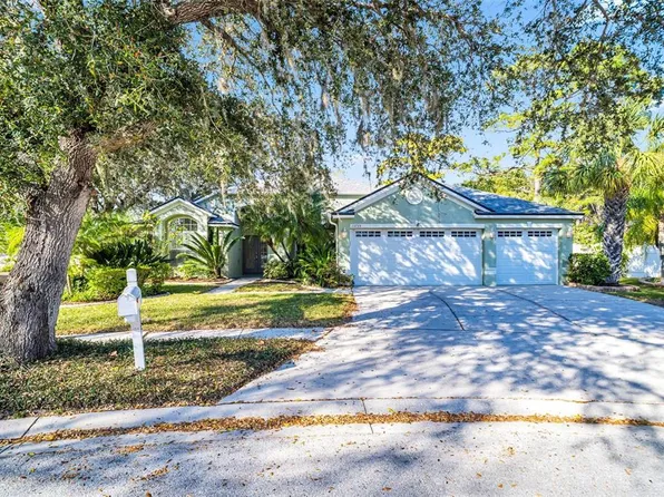 13735 Antler Point Dr, Tampa, FL 33626