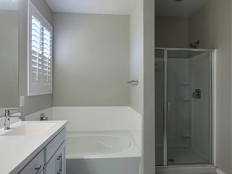 Master bath - separate tub and shower