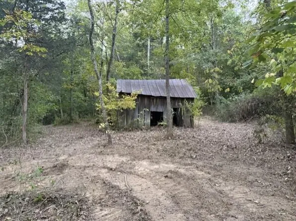5615 Blue Licks Pike, Mount Olivet, KY 41064