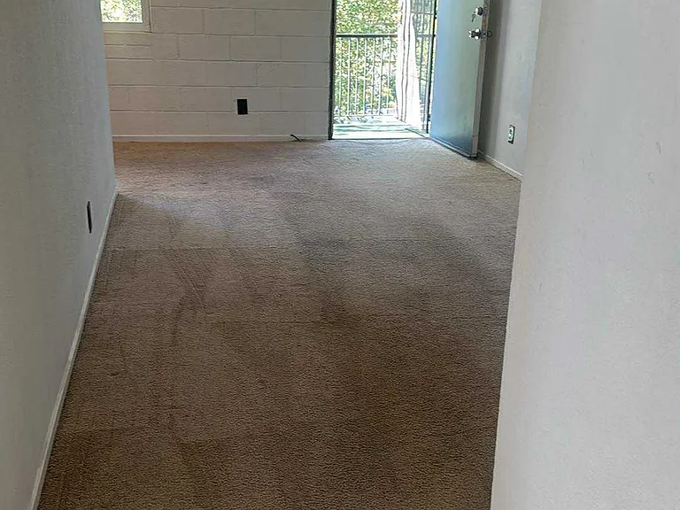 2210 Patton Dr — Photo 2
