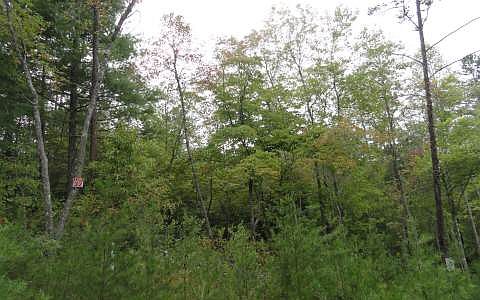 1st image of 32 Woodland Dr