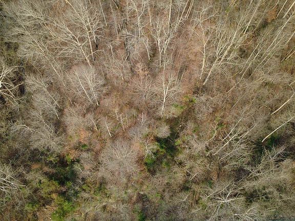 4th image of Madison Creek Rd