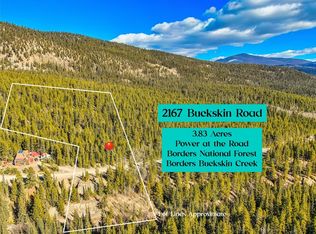 2167 Buckskin Rd, Alma, CO 80420