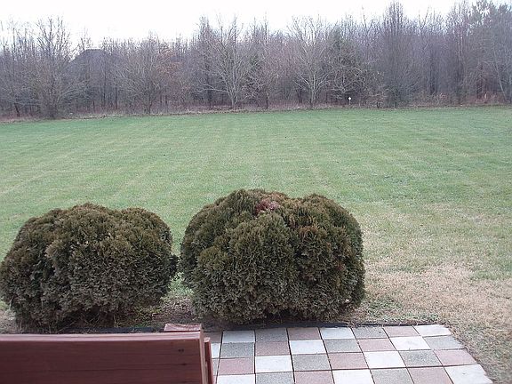 Backyard to Common Area