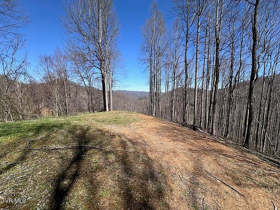 4th image of Tbd Roan Springs Rd