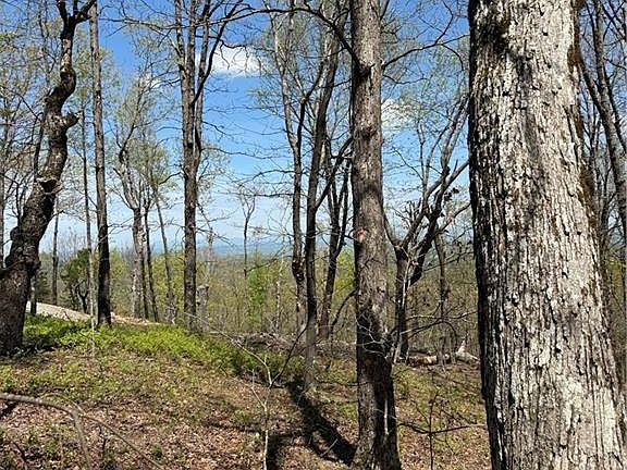 3rd image of 161 Sharp Mountain Pkwy Lot 161