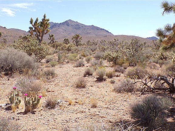 3rd image of 18209 N Scenic Drive