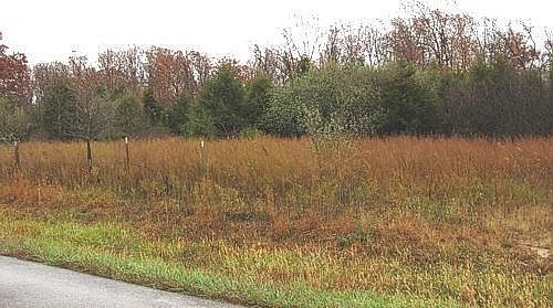 3rd image of 0 North Brinkley Road
