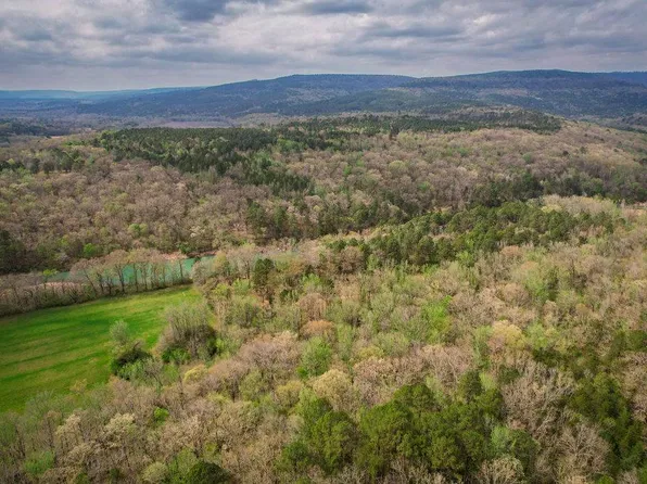 16500 Camp Newell Rd, Ozark, AR 72949