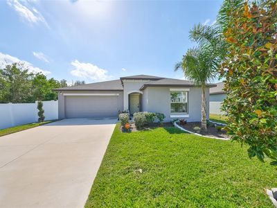 11323 Misty Moss Dr, Wimauma, FL, 33598