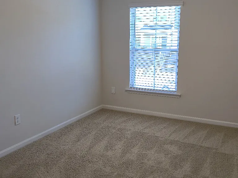 905 Robbie Jackson Ln — Photo 39