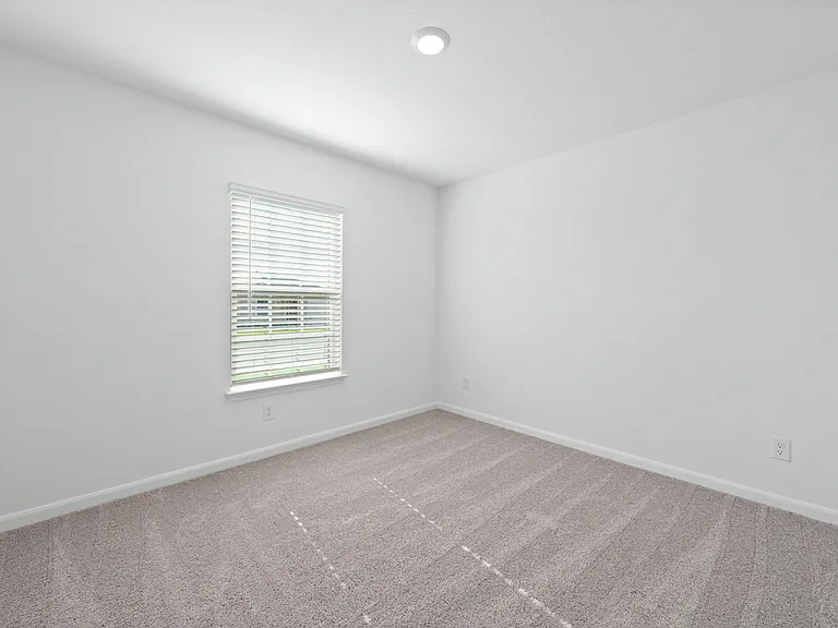 Second bedroom with lush carpet flooring.