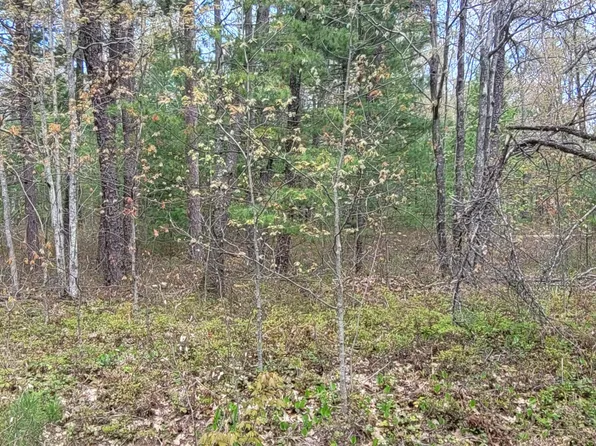 Sioux Trl, Rogers City, MI 49779