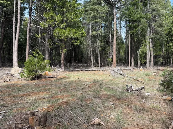 0 Westward Ho Rd, Shingletown, CA 96088