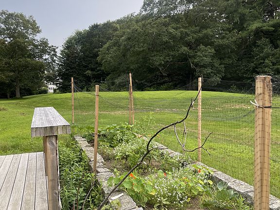 View of the backyard and the garden patch.