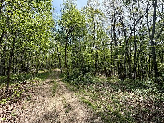 4th image of 566A Tunnel Ridge Rd