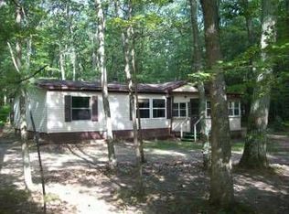 9193 S Oxeye Ave, Baldwin, MI 49304