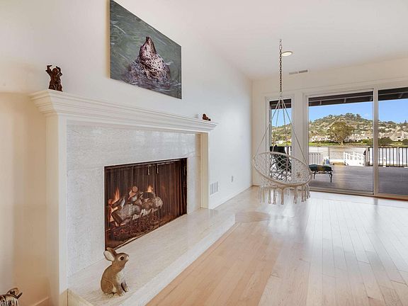 Fireplace and hammock chair