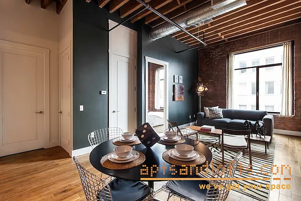 Rented by aptsandlofts.com | media 16