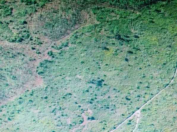 International Dr #23, Orlando, FL 32821