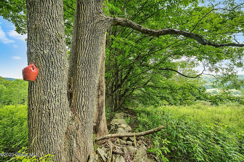 5th image of 175 Whitetail Mountain Road
