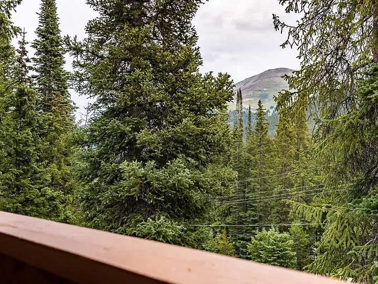 Window View