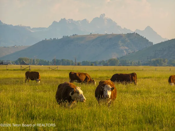 S Park Loop Rd, Jackson, WY 83001