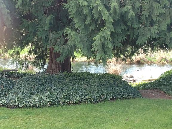 View from your kitchen window