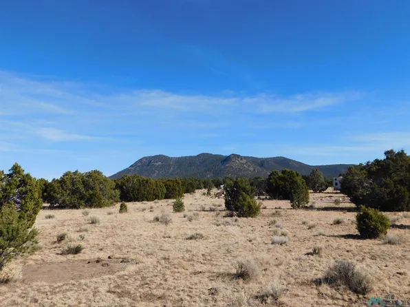 22 Branding Iron Rd, Quemado, NM 87829