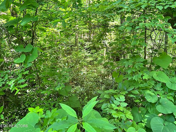 5th image of Fir Way Lot 110