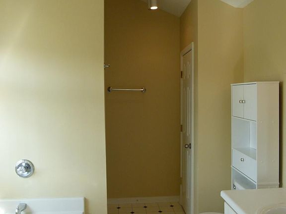 Vaulted Ceilings in Huge Master Bath