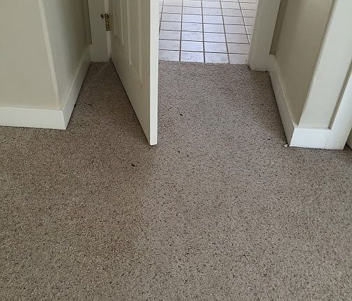 4th image of 1600 Ocean Ave #1011
