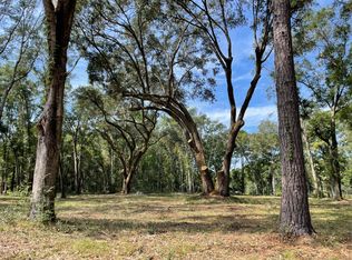 6032 Mossey Grove Ln, Awendaw, SC 29429