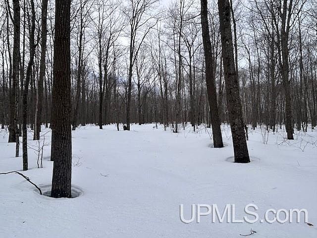 1st image of 53554 N Superior Rd