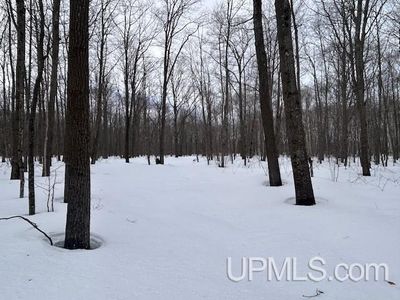 53554 N Superior Rd, Houghton, MI, 49931