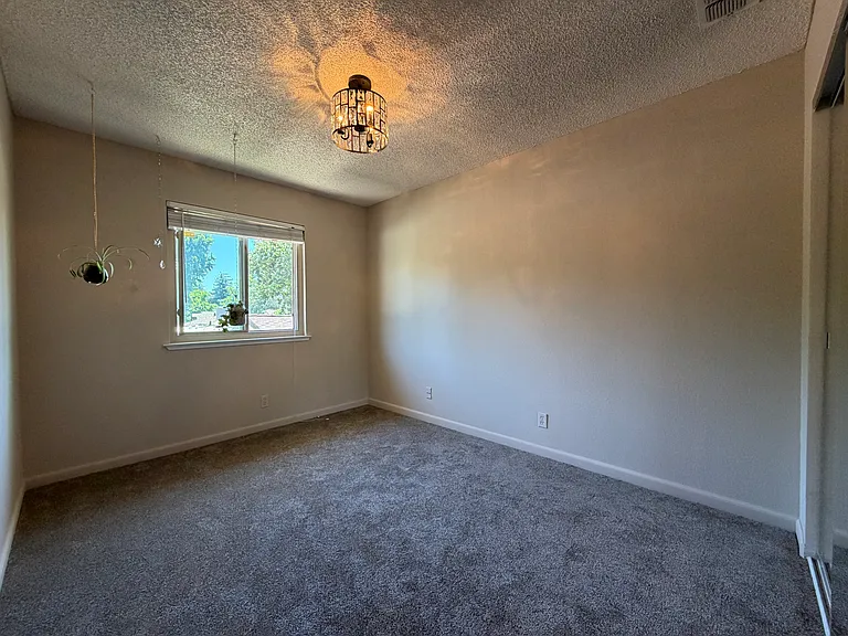 2223 Bridlewood Dr — Photo 19