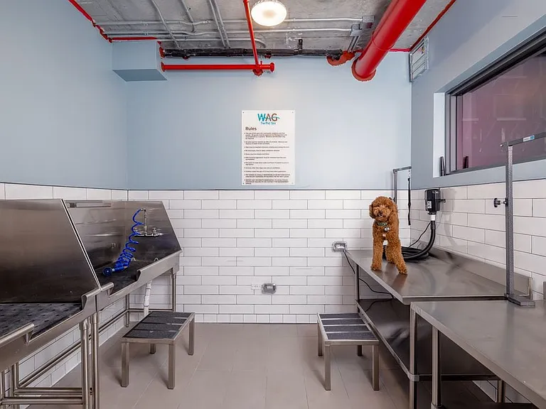 Pet-friendly community with WAG Pet Spa
