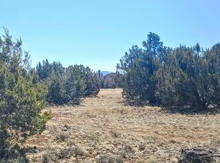 50 County Road 8113, Concho, AZ 85924