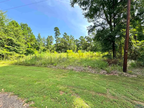 85 Lakewood Dr, Gilmer, TX 75645