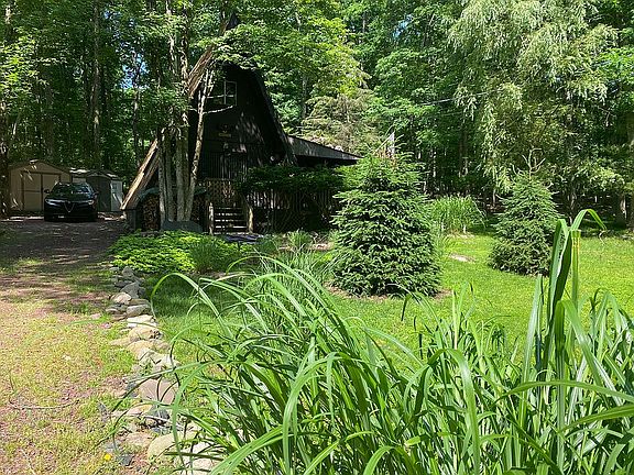 Driveway and front yard