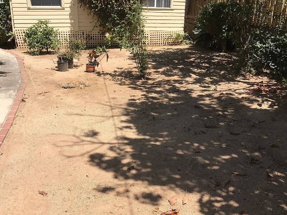 Back yard area