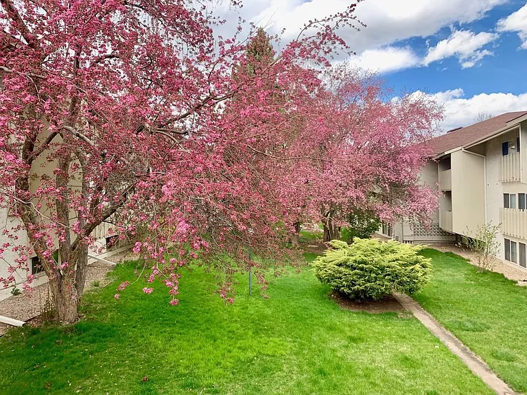 2707 Valmont Rd #D-215 — Photo 11